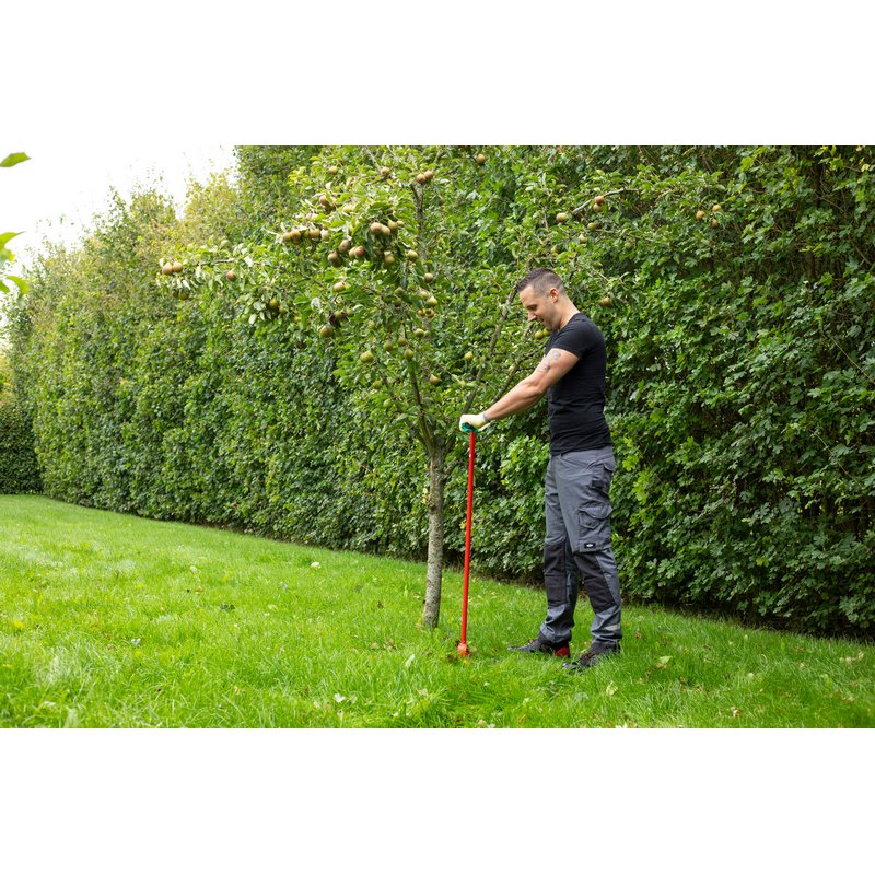 palenboor kelfort-4 palenboor kelfort-4