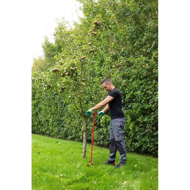 palenboor kelfort-5 palenboor kelfort-5