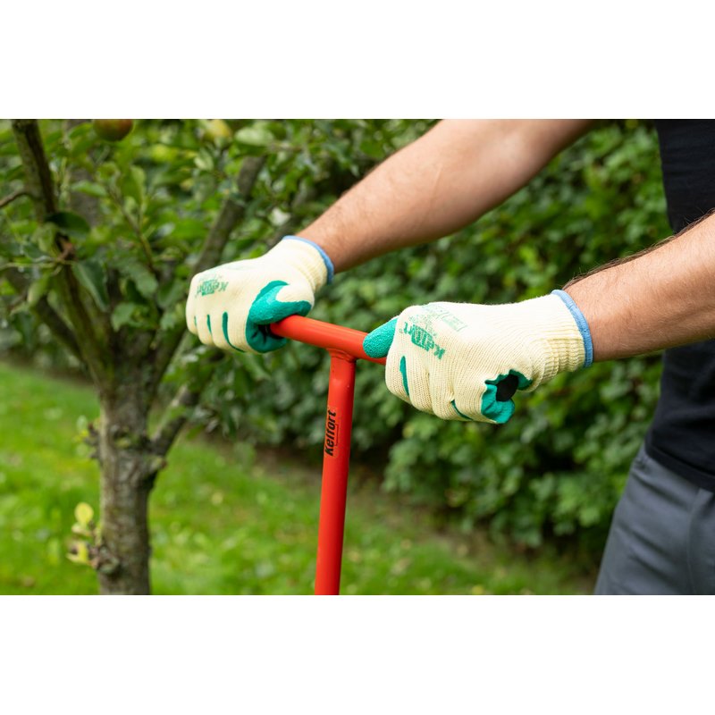 palenboor kelfort-6 palenboor kelfort-6