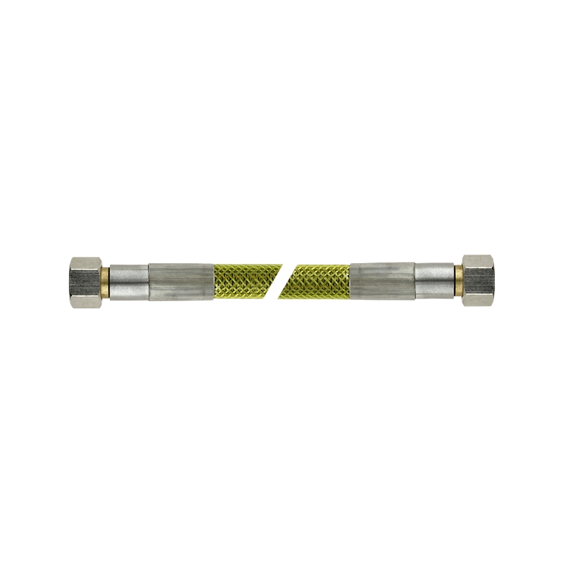 gasslang flexibel rvs-2 gasslang flexibel rvs-2