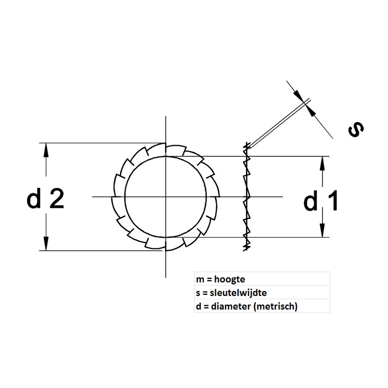 tandveerring vlak rvs a2 kelfort-3 tandveerring vlak rvs a2 kelfort-3